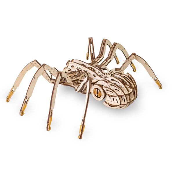 Spider 3D Wooden STEM Construction Kit