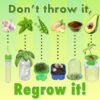 Regrow Science Lab