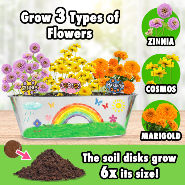 MiracleGro Paint & Plant My First Flower Growing Kit