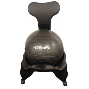 Stability Ball Chair, Adult, Black-Black