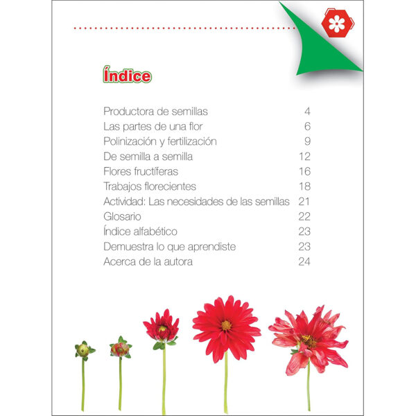 Flores Book, Hardcover