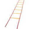 Economy Agility Ladder