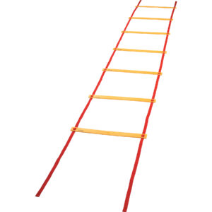 Economy Agility Ladder