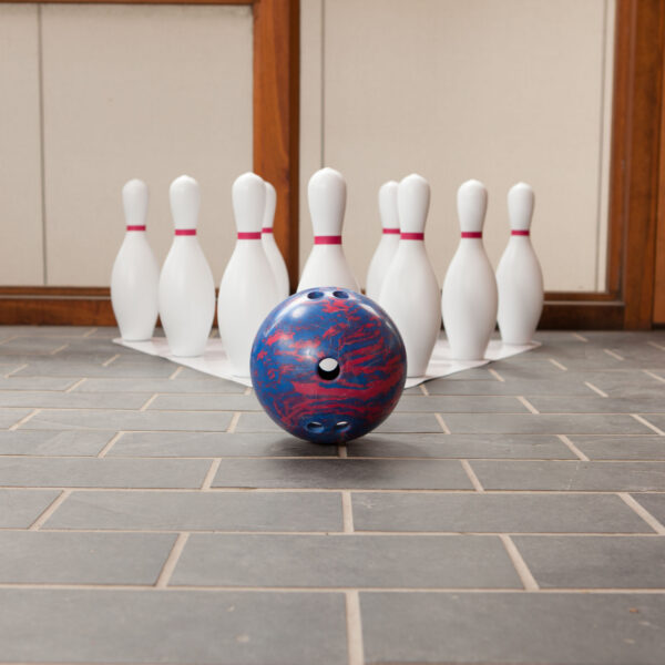 Plastic Bowling Ball & Pin Set