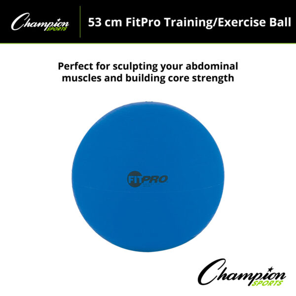 FitPro Training & Exercise Ball, 53cm, Blue