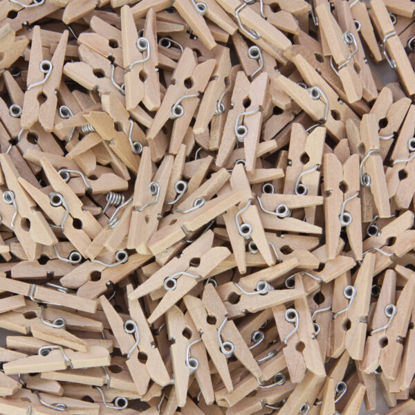 Mini Spring Clothespins, Natural, 1", 250 Pieces