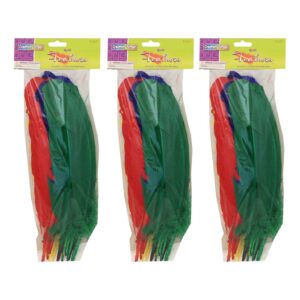 Quill Feathers, Assorted Colors, 12", 24 Per Pack, 3 Packs