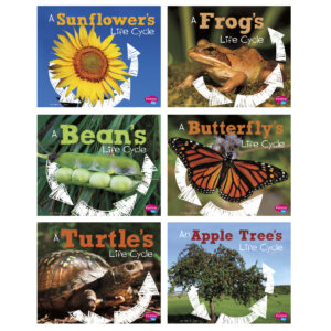 Explore Life Cycles, Set of 6 books