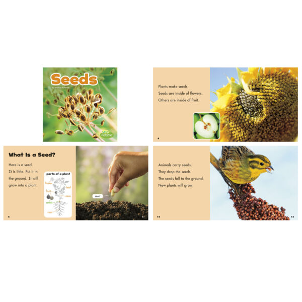 Plant Parts, Set of 6 books