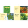 Plant Parts, Set of 6 books