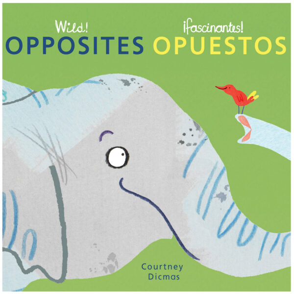 Wild! Concepts Bilingual Board Books, Set of 4