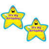 Its My Birthday! Star Badges, 36 Per Pack, 3 Packs