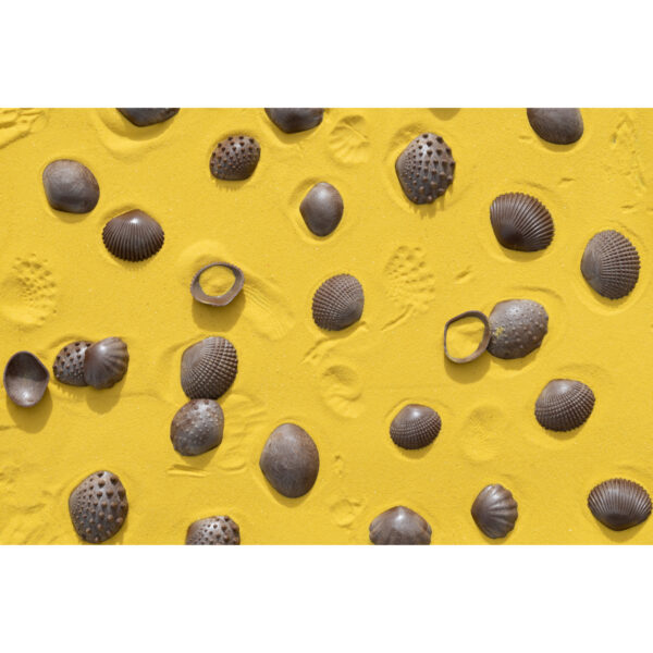 Tactile Shells - Eco-Friendly - 36 Pieces, 6 Textures, 3 Sizes - Ages 18m+