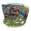 Extreme Crocodiles of the World - For Ages 6+ - Create and Customize Models and Dioramas - Study the Most Extreme Animals