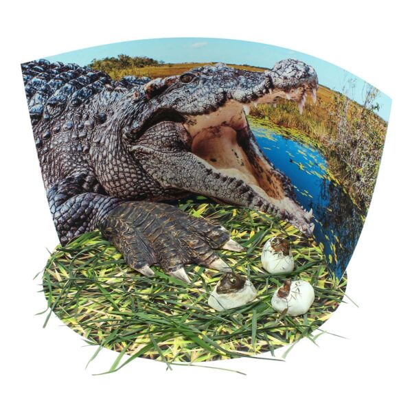 Extreme Crocodiles of the World - For Ages 6+ - Create and Customize Models and Dioramas - Study the Most Extreme Animals