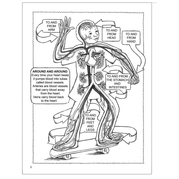 My First Human Body Coloring Book, Pack of 6