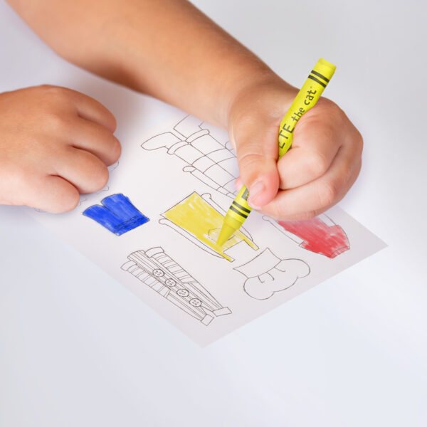 Papercraft Pete the Cat Coloring Activity Set