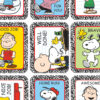 Peanuts Motivational Sticker, 36 Per Pack, 12 Packs