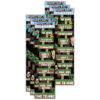 Minecraft Life Lessons Banner, 12" x 45", Pack of 6