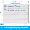 Two-Sided (Red & Blue Ruled-Blank) Dry Erase Board, 9" x 12", Pack of 12