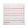 Graphing 3M Post-it Notes,10 x 10 Grid, 4 Pads