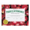 Gold Foil Embossed, Award of Excellence, Certificate Seals, 54 Seals Per Pack, 3 Packs