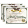 Certificate of Achievement, 30 Per Pack, 3 Packs