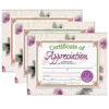 Certificate of Appreciation, 30 Per Pack, 3 Packs