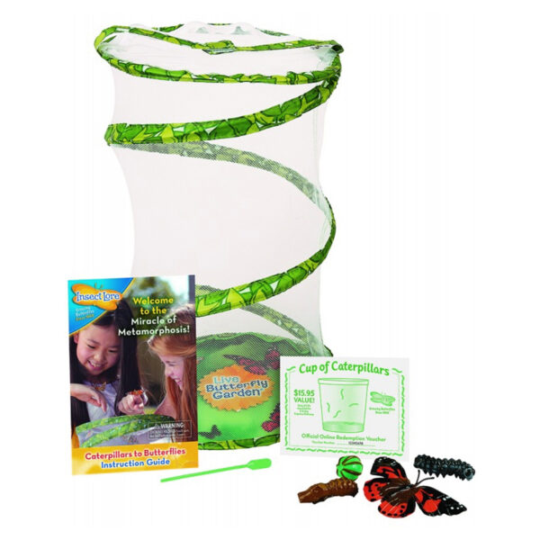 Giant Butterfly Garden Deluxe Growing Kit