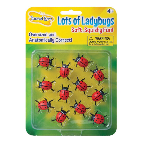 Lots Of Ladybugs, 12 Per Pack, 3 Packs