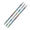 Happy Birthday from Your Teacher Pencil, Pack of 144