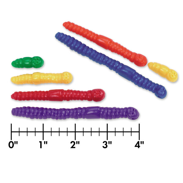 Measuring Worms, 72 Pieces
