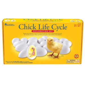 Chick Life Cycle Exploration Set