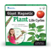 Giant Magnetic Plant Life Cycle, Set of 12