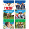 Early Rising Readers Set 3: Nonfiction, Level A