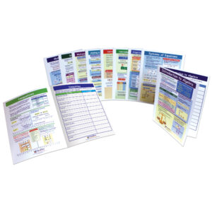 Algebra Skills Visual Learning Guides Set