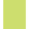 Multi-Purpose Paper, Lime, 8-1-2" x 11", 500 Sheets