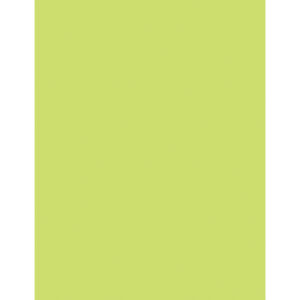 Multi-Purpose Paper, Lime, 8-1-2" x 11", 500 Sheets