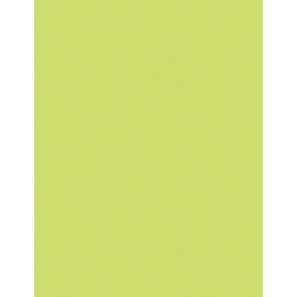 Multi-Purpose Paper, Lime, 8-1-2" x 11", 500 Sheets