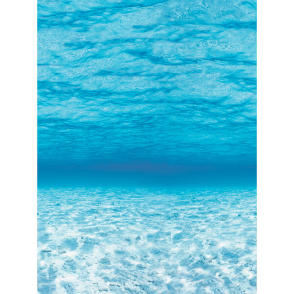 Bulletin Board Art Paper, Under The Sea, 48" x 50', 1 Roll