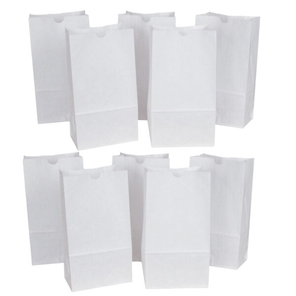 Kraft Bag, White, 6" x 3-5-8" x 11", 50 Per Pack, 2 Packs