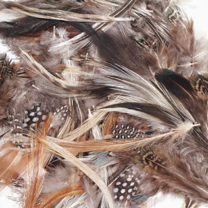 Natural Feathers, Natural Assorted Colors, Assorted Sizes, 1-2 oz.