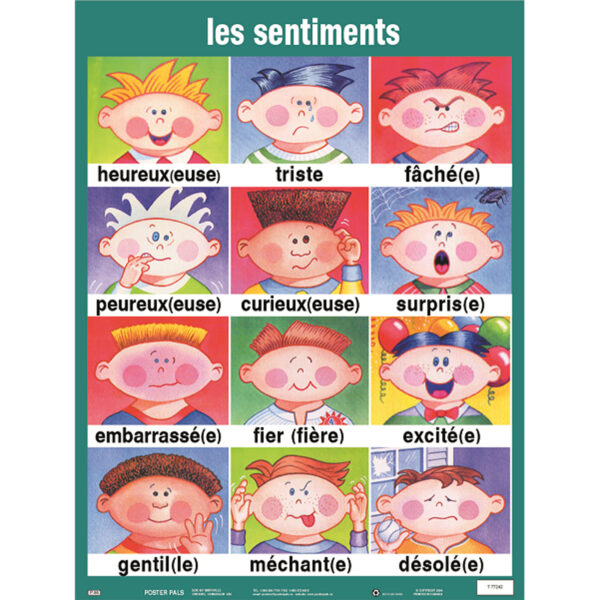 French Essential Classroom Posters Set I