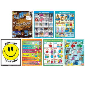 French Essential Classroom Posters Set II