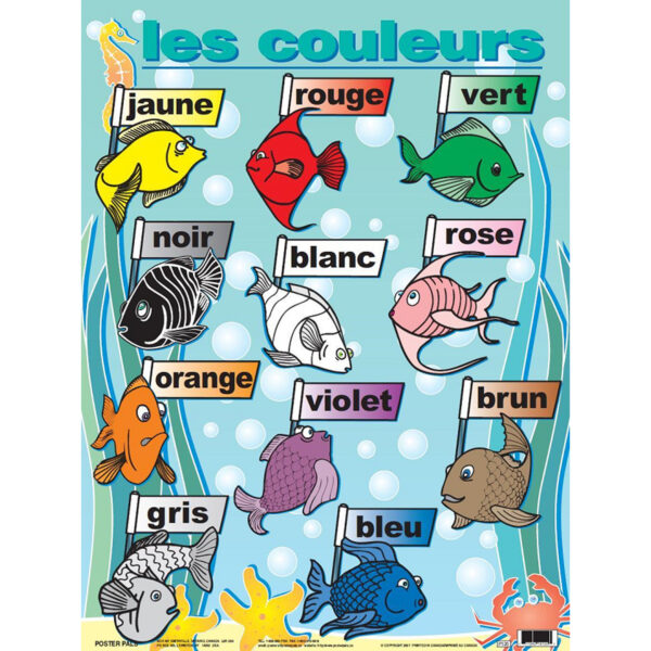 French Essential Classroom Posters Set II