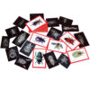 Insect X-rays and Picture Cards, Pack of 36