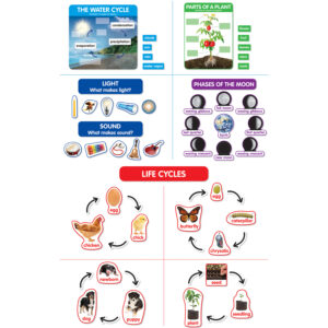 Early Science Concepts Bulletin Board Set