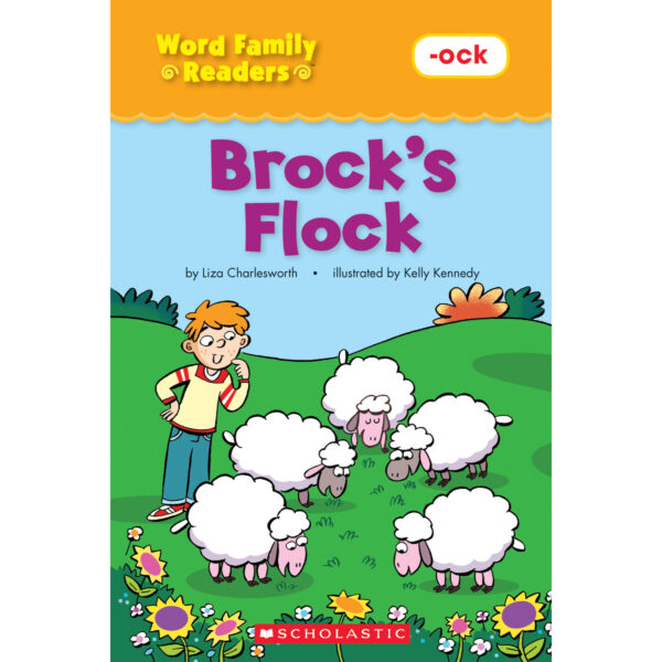 Word Family Readers Book Set, 5 Copies of 16 Titles