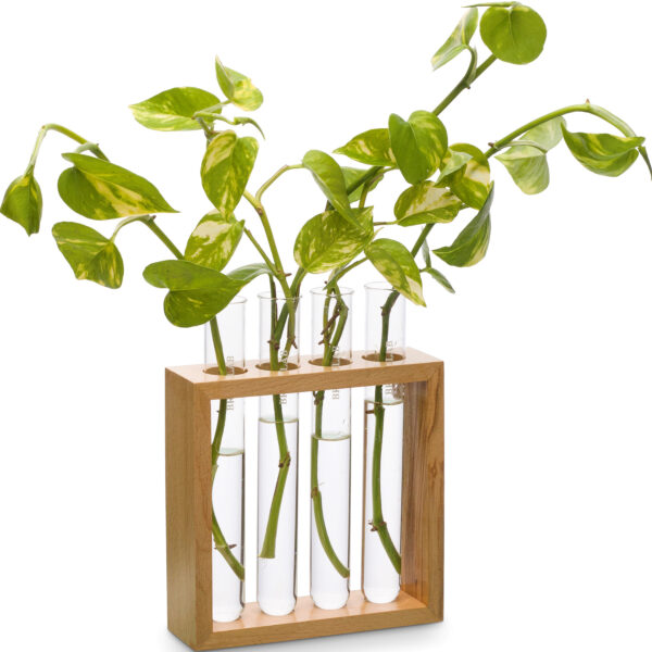 Square Plant Holder