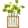 Square Plant Holder